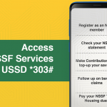 4 Methods To Check Your NSSF Number In Kenya 2024